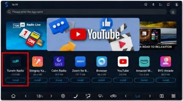 Head-unit screenshot of the BYD Store with a TuneIn Radio banner at the top left and a row of apps below — TuneIn Radio, Stingray Karaoke, Calm Radio, Zoom, Browser, YouTube, Amazon Music and BYD Arcade — with TuneIn Radio outlined in red.